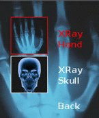 game pic for X-Ray Scanner